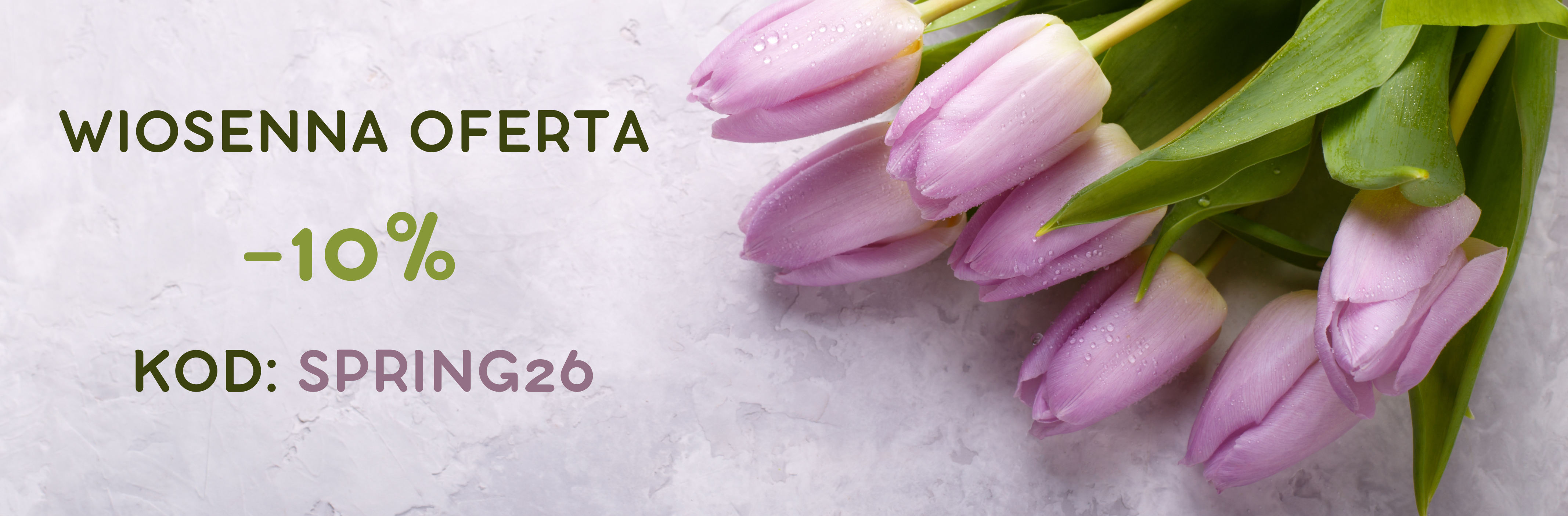 Tekst akapitu (1366 x 450 px)